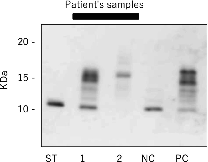 FIGURE 3