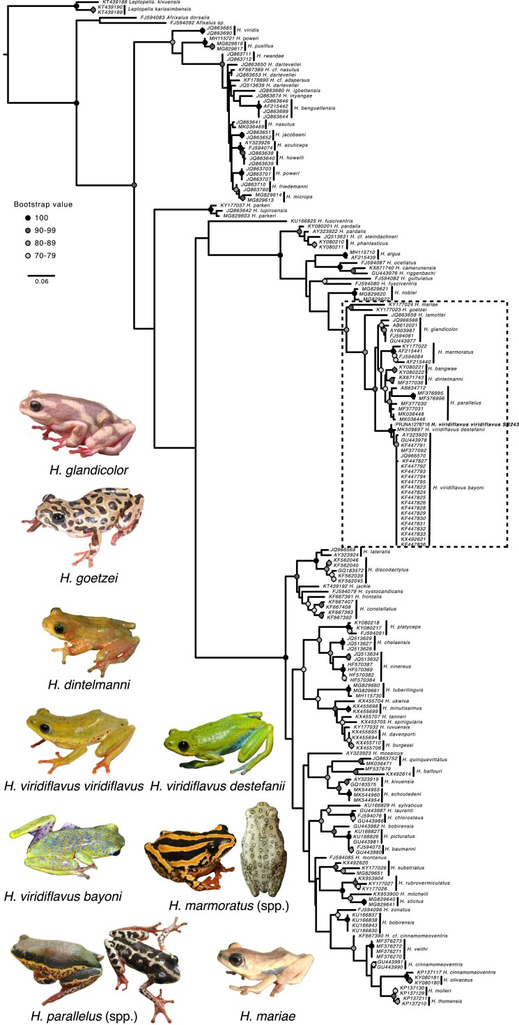 Fig. 6