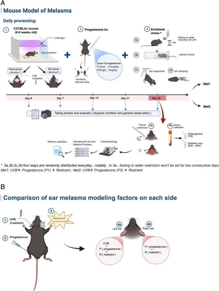 FIGURE 1