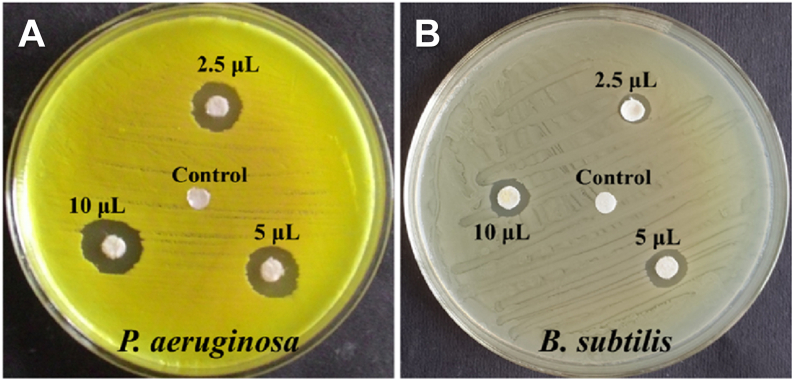 Figure 10