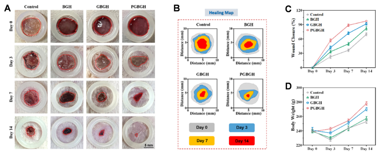 Figure 12
