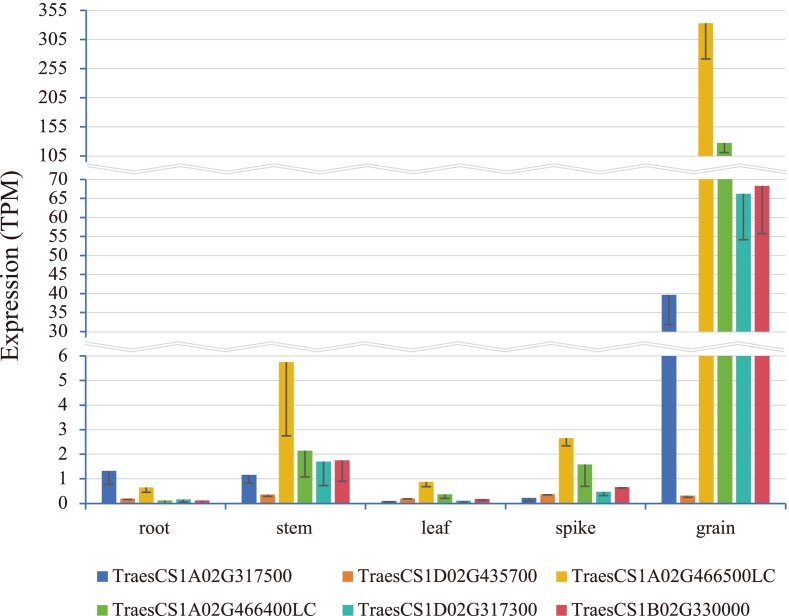 Figure 4