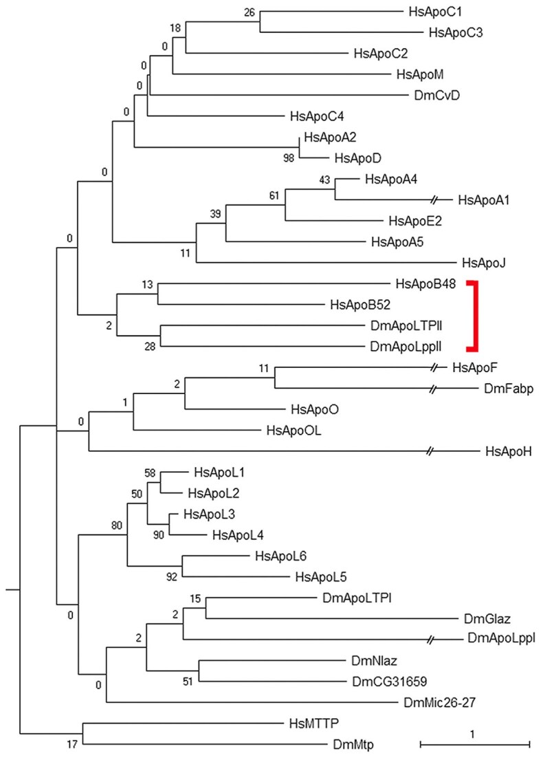 Fig. 2
