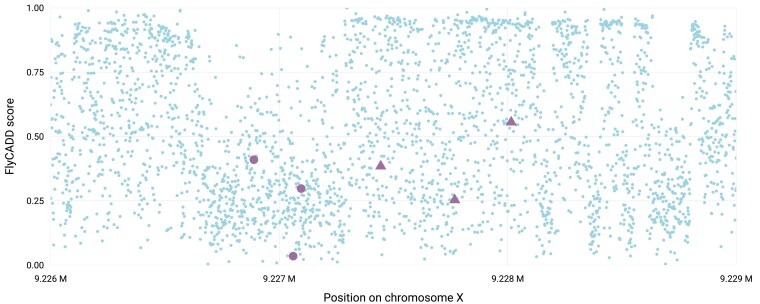 Fig. 10