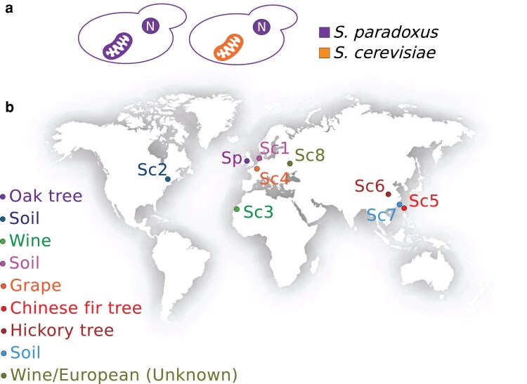 Fig. 1