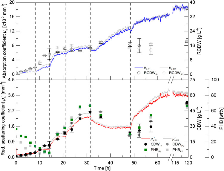 Figure 13