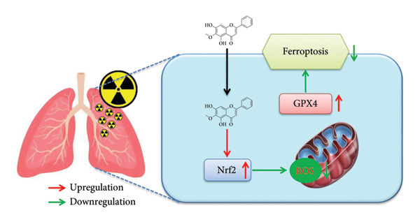 Figure 10
