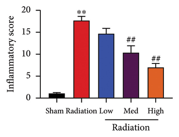 Figure 21
