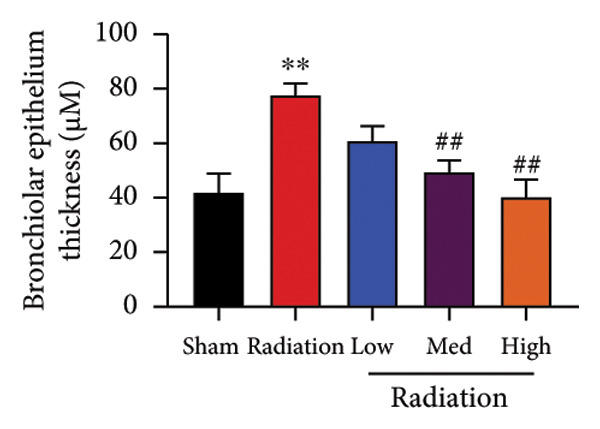 Figure 22