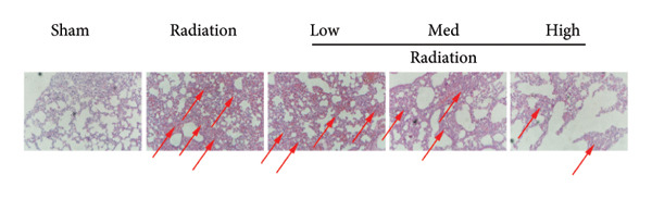 Figure 23