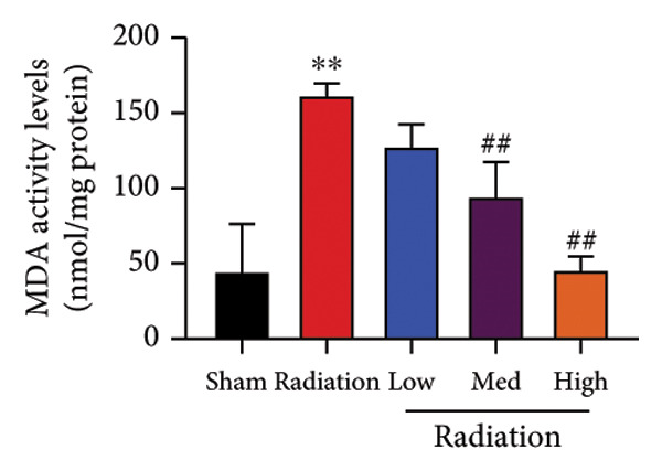 Figure 31