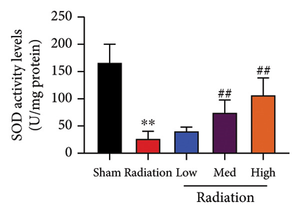 Figure 32