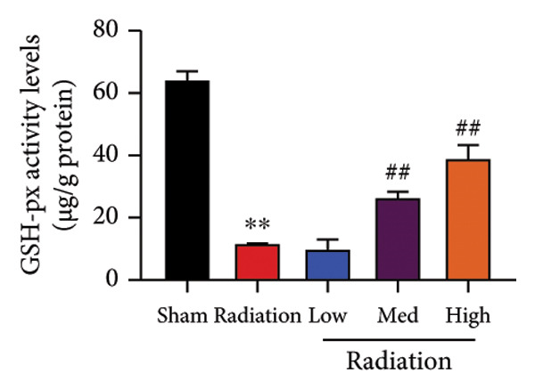 Figure 33