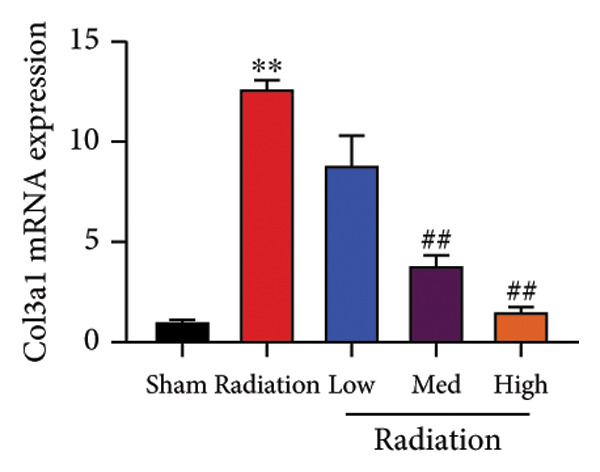Figure 34