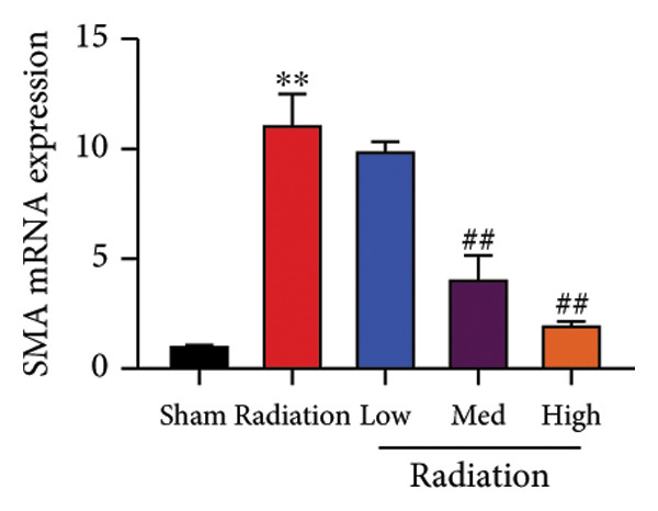 Figure 36