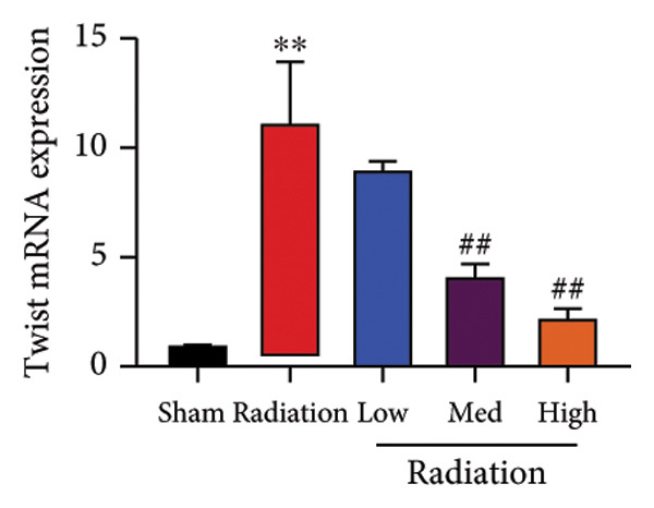 Figure 37