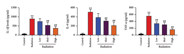 Figure 38