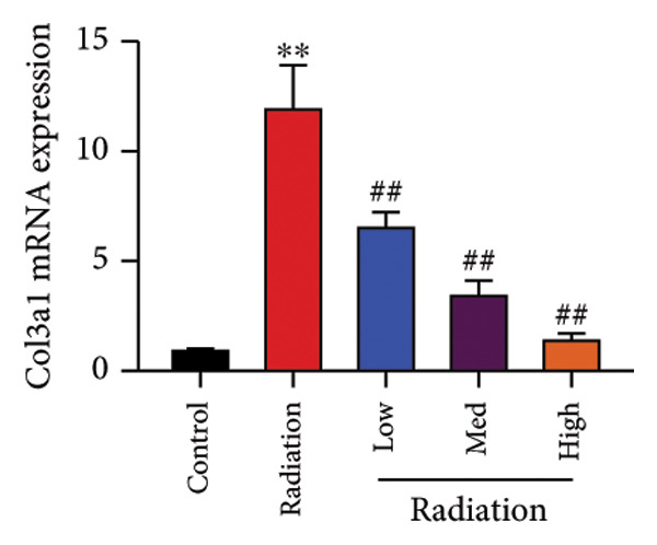 Figure 40