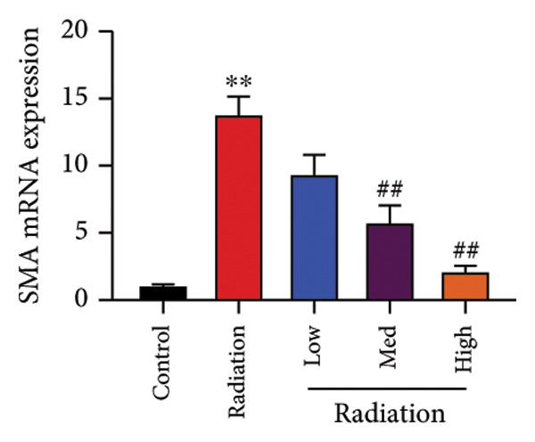 Figure 42