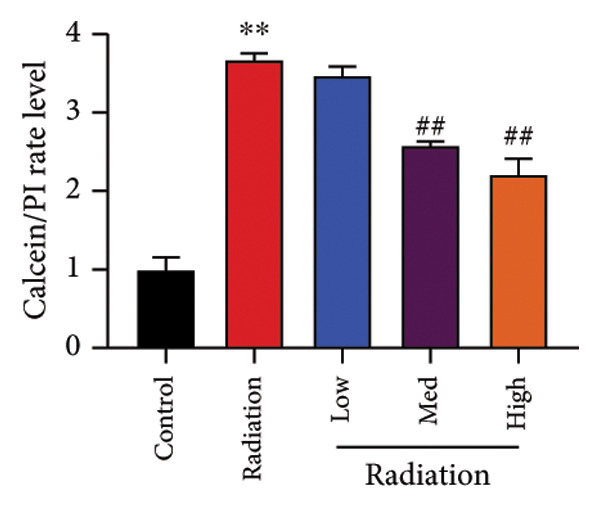 Figure 46