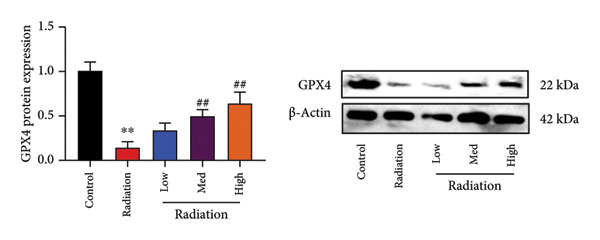 Figure 49