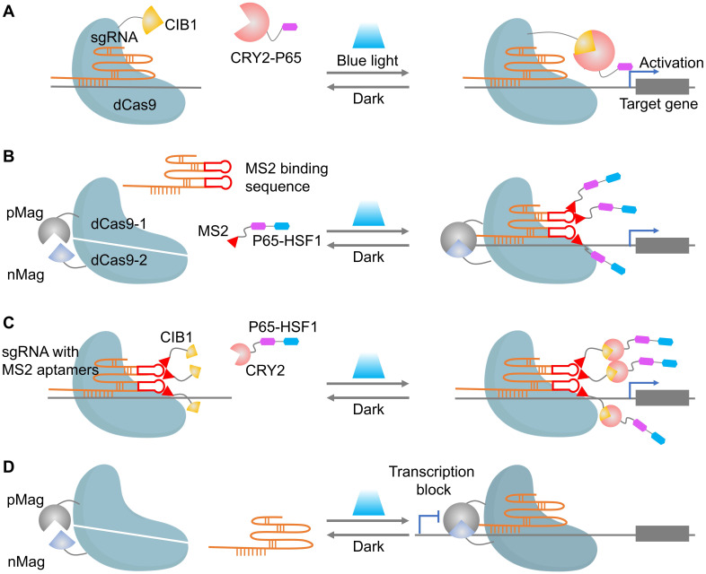 Figure 4