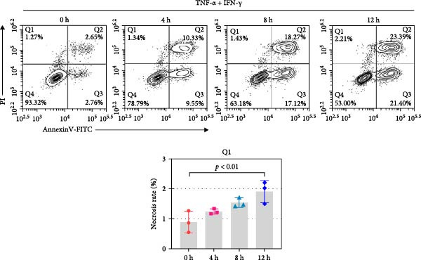 Figure 11