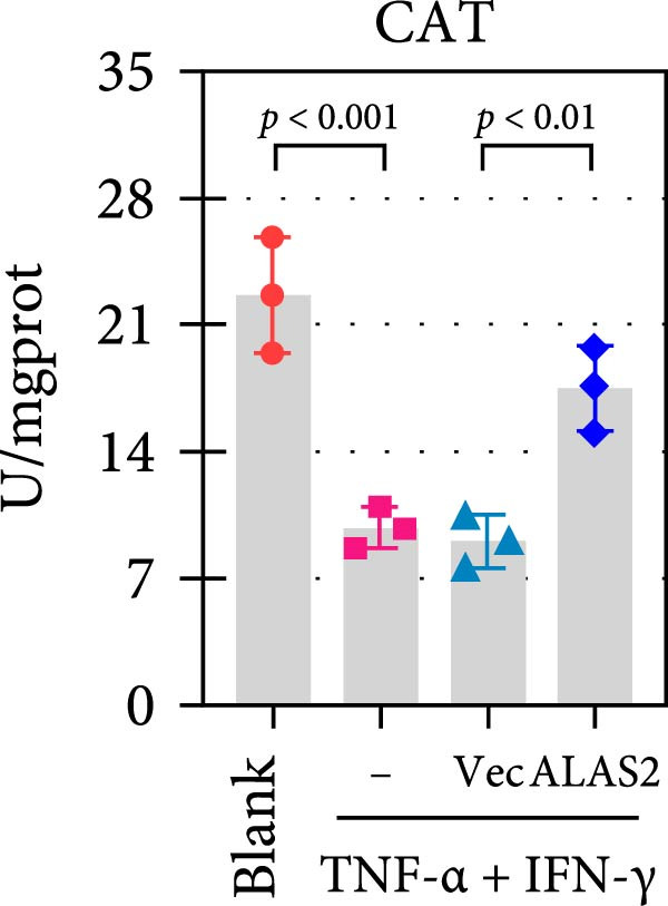 Figure 22