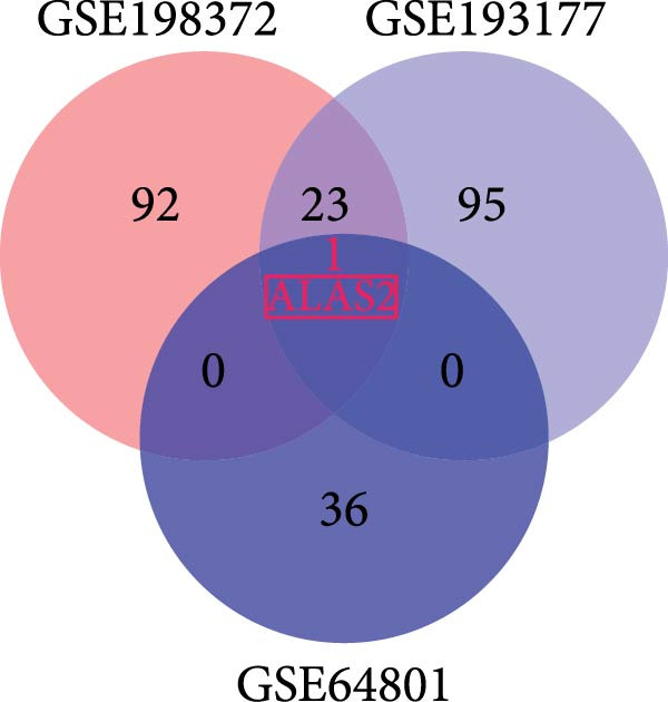 Figure 29