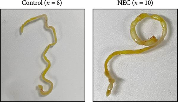 Figure 33