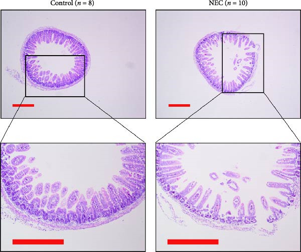 Figure 34