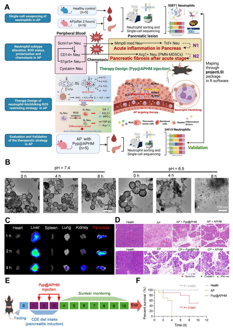 Figure 21