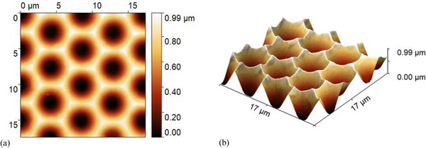 Figure 10