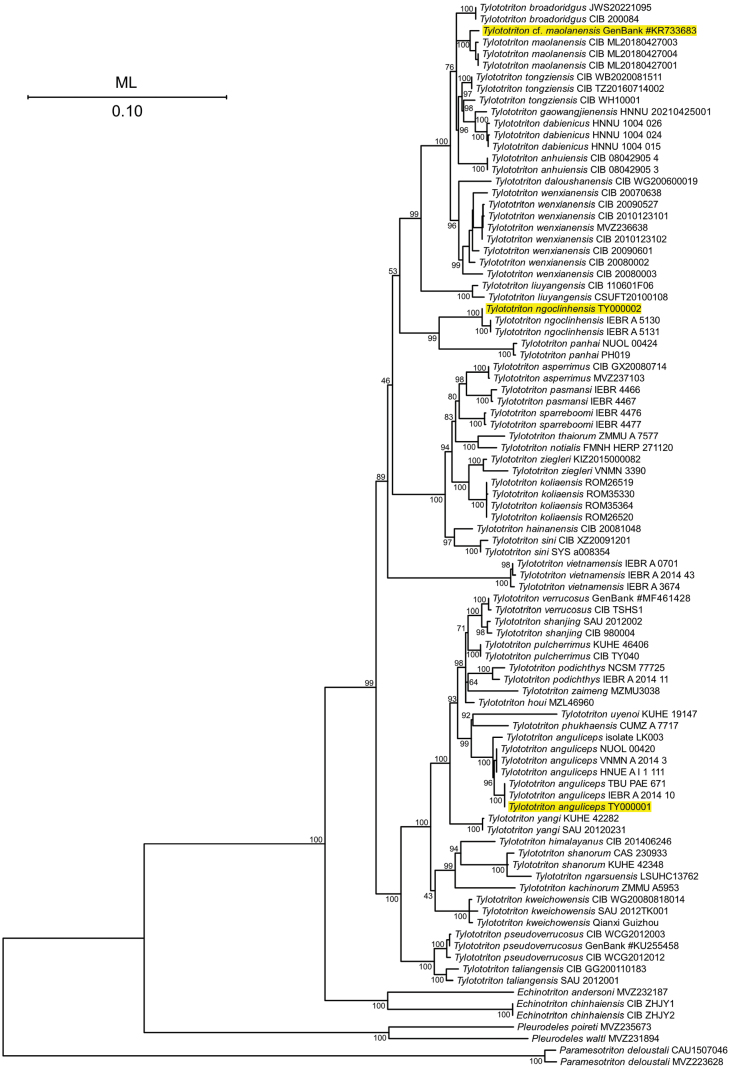 Figure 6