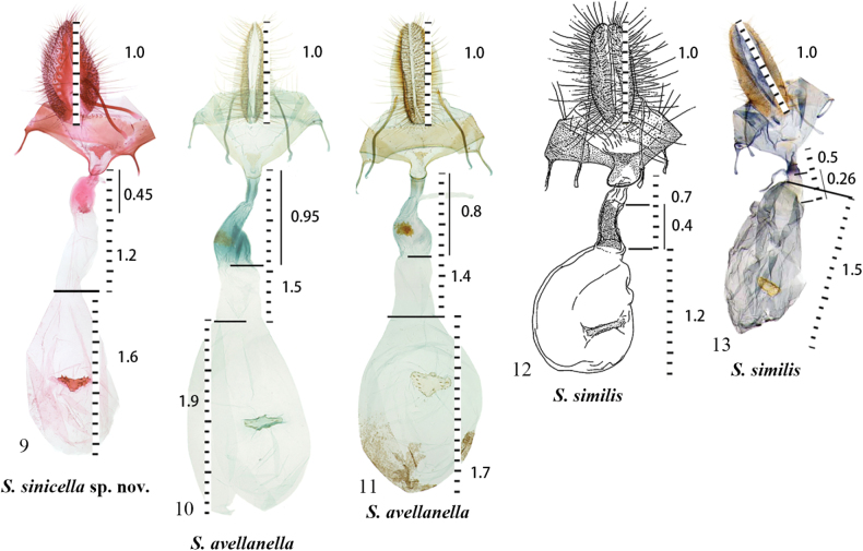 Figure 4