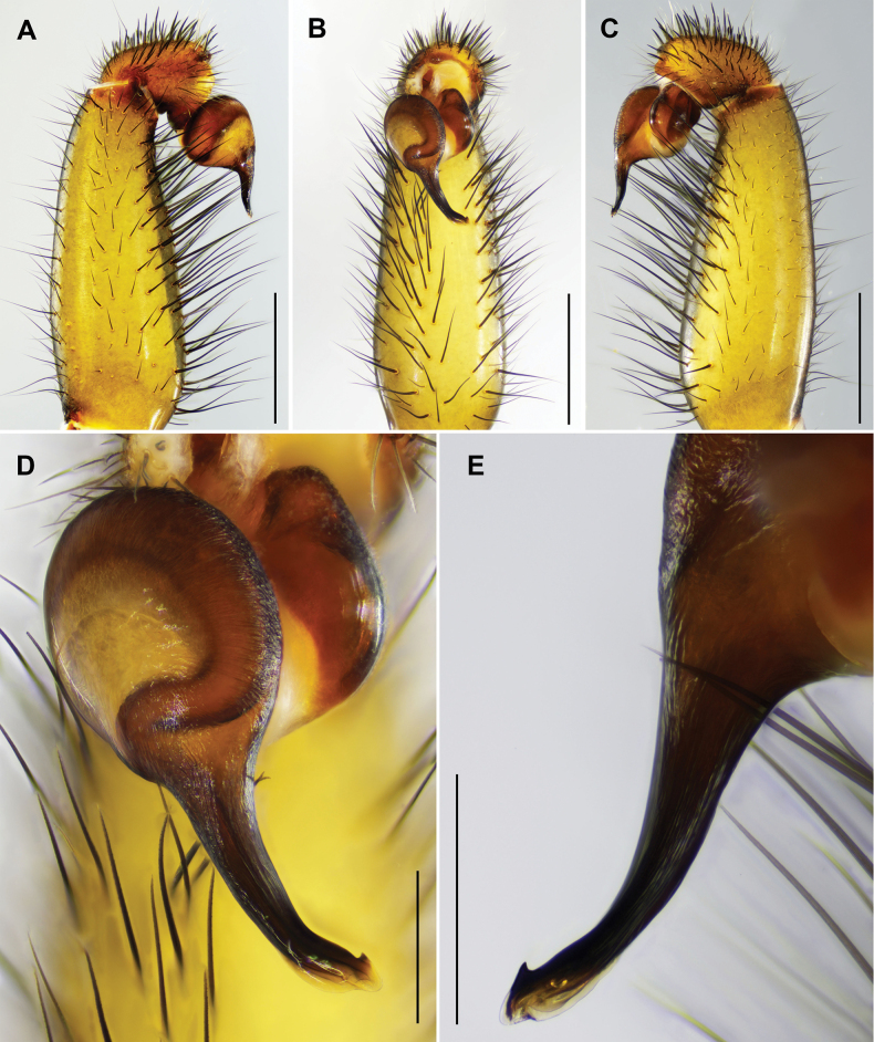 Figure 9