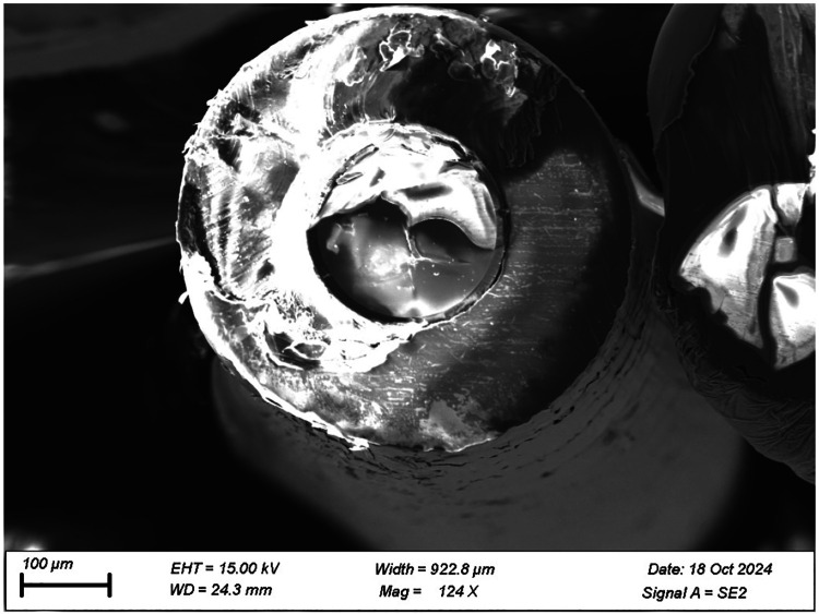 Figure 7