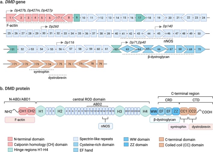 Figure 6