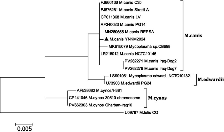 Figure 4