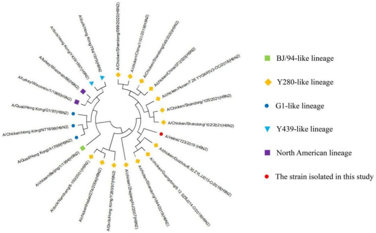 Figure 2