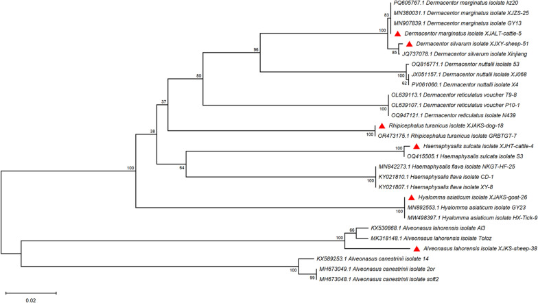 Figure 2