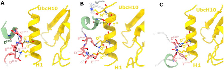 Figure 8
