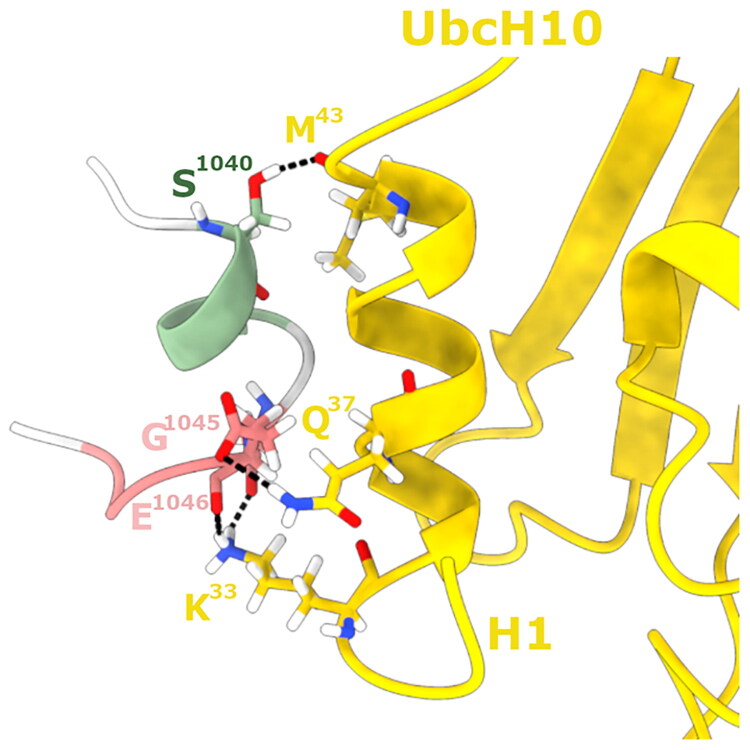 Figure 9