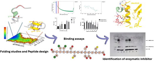 Figure 16