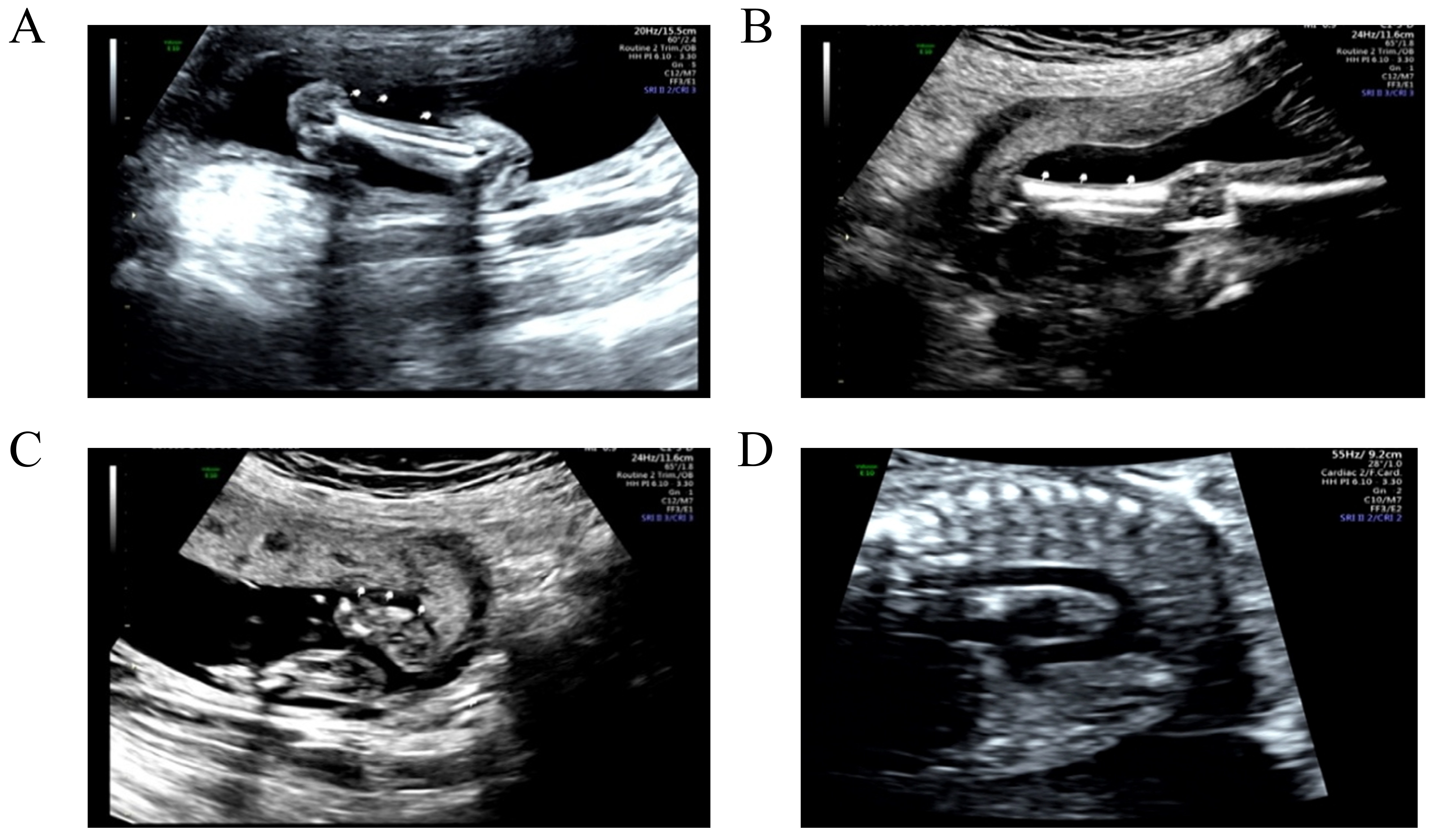 Figure 7