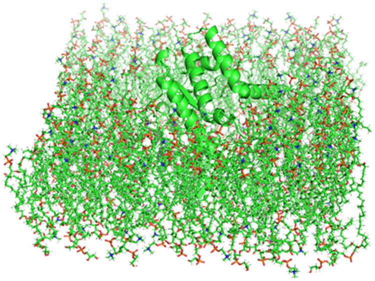 Figure 6