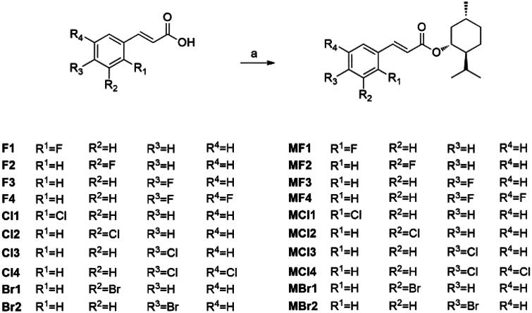 Figure 14