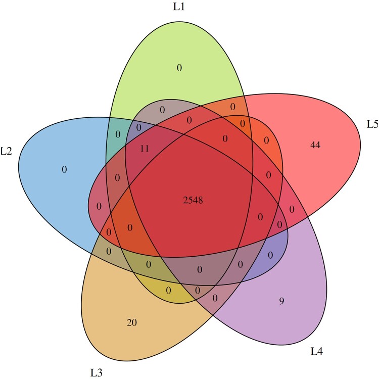 Figure 5