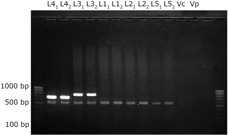 Figure 7