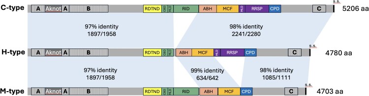 Figure 9